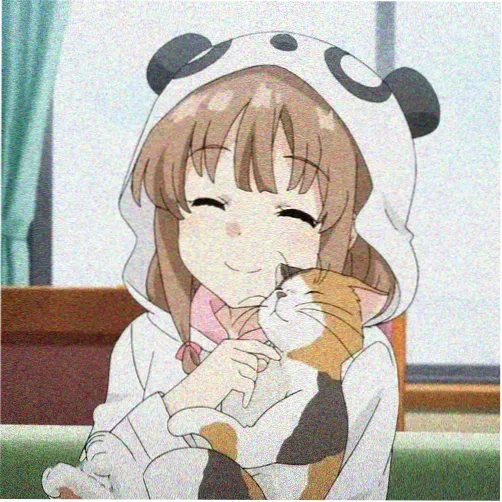 同好番剧笔记人头像